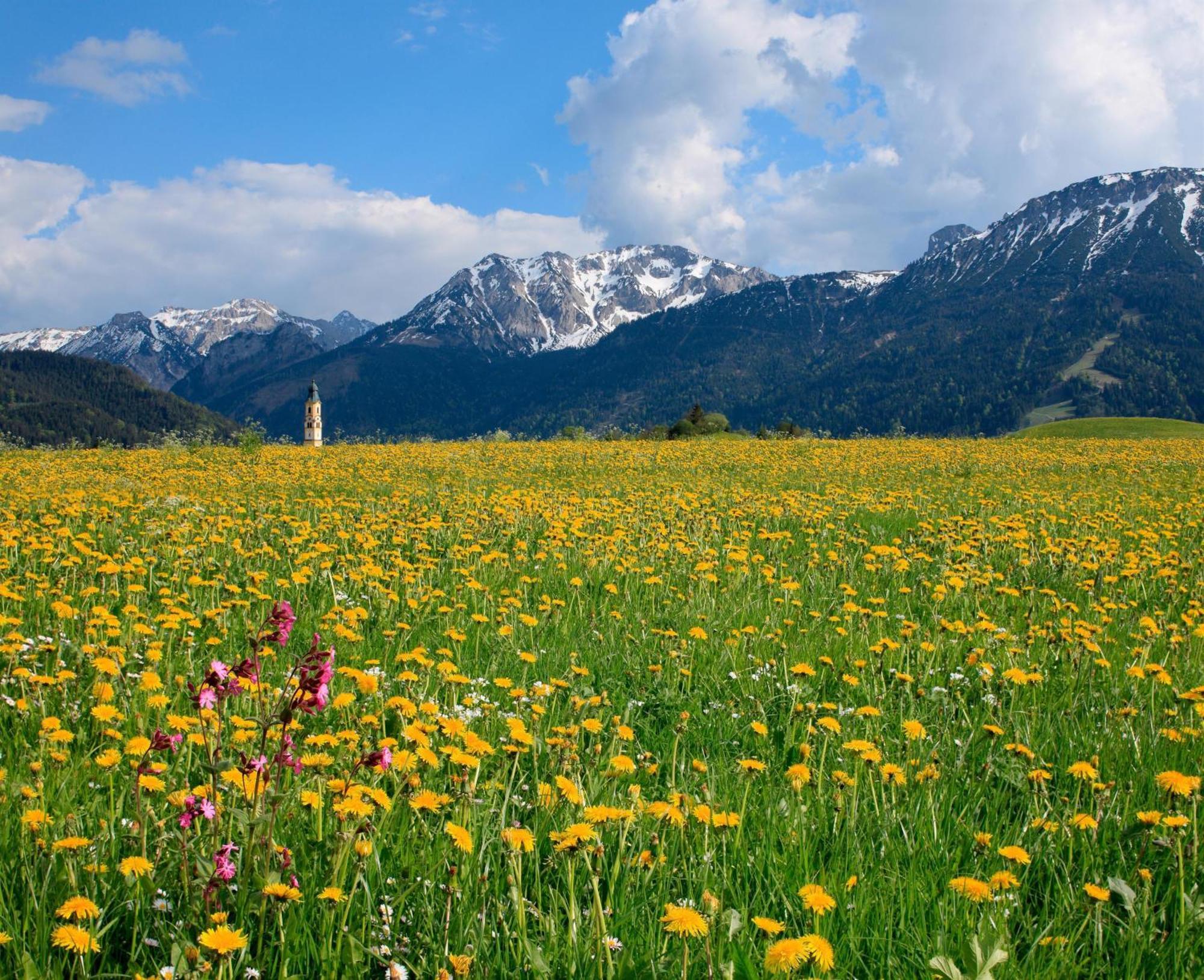 Gaestehaus Sonnenplatzerl Pfronten Zewnętrze zdjęcie